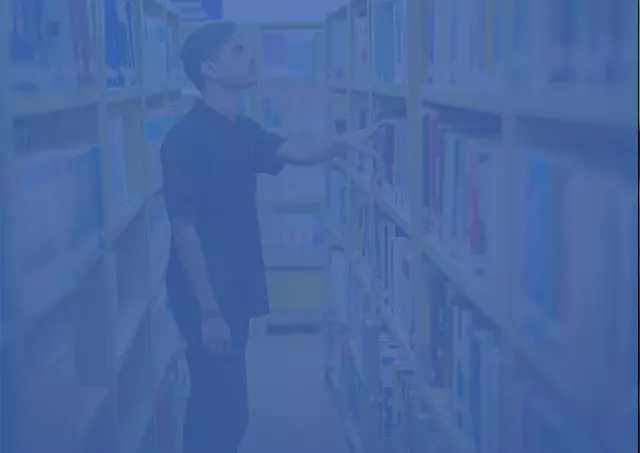 Birla Gloal University