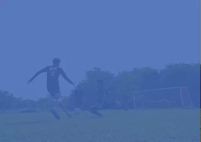 Birla Gloal University