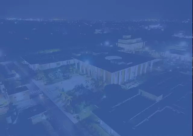 Birla Gloal University