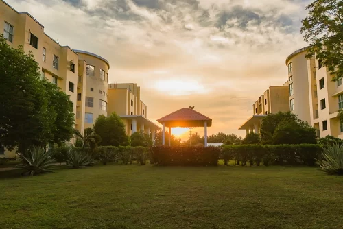 DJI 20250917194545 0167 D